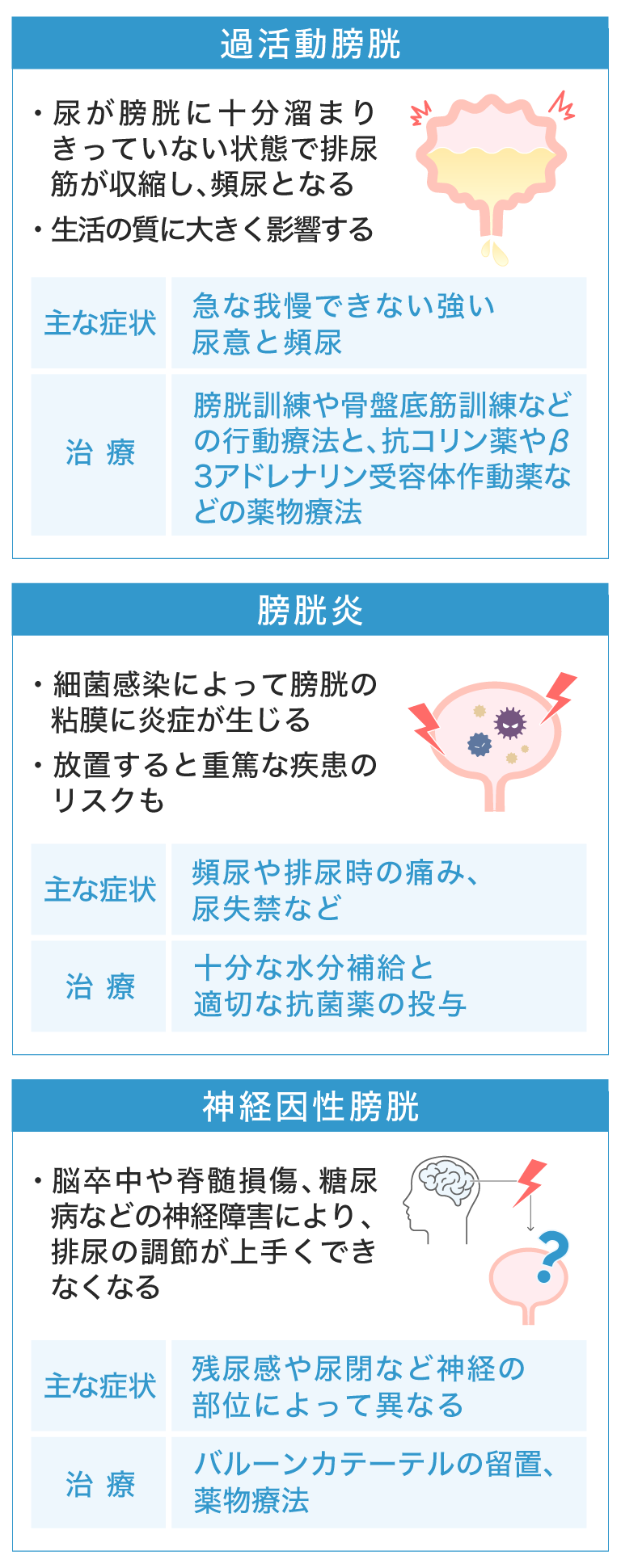過活動膀胱 ·尿が膀胱に十分溜まりきっていない状態で排尿筋が収縮し、頻尿となる ·生活の質に大きく影響する 主な症状 急な我慢できない強い尿意と頻尿 治療 膀胱訓練や骨盤底筋訓練などの行動療法と、抗コリン薬やβ3アドレナリン受容体作動薬などの薬物療法 膀胱炎 ·細菌感染によって膀胱の粘膜に炎症が生じる ·放置すると重篤な疾患のリスクも 主な症状 頻尿や排尿時の痛み、尿失禁など 治療 十分な水分補給と適切な抗菌薬の投与 神経因性膀胱 ·脳卒中や脊髄損傷、糖尿病などの神経障害により、排尿の調節が上手くできなくなる 主な症状 残尿感や尿閉など神経の部位によって異なる 治療 バルーンカテーテルの留置、薬物療法