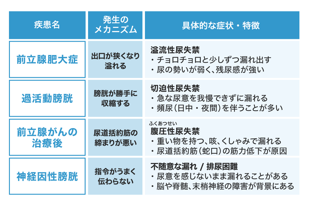 前立腺肥大症、過活動膀胱、前立腺がんの治療後、神経因性膀胱