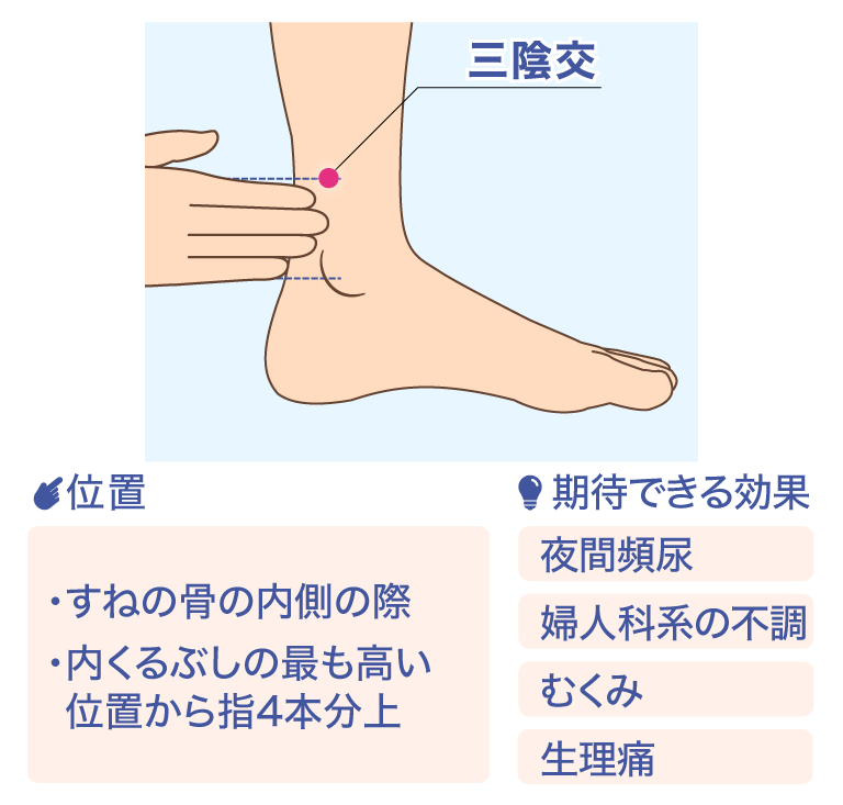 三陰交 位置 ·すねの骨の内側の際 ·内くるぶしの最も高い位置から指4本分上 期待できる効果 夜間頻尿 婦人科系の不調 むくみ 生理痛