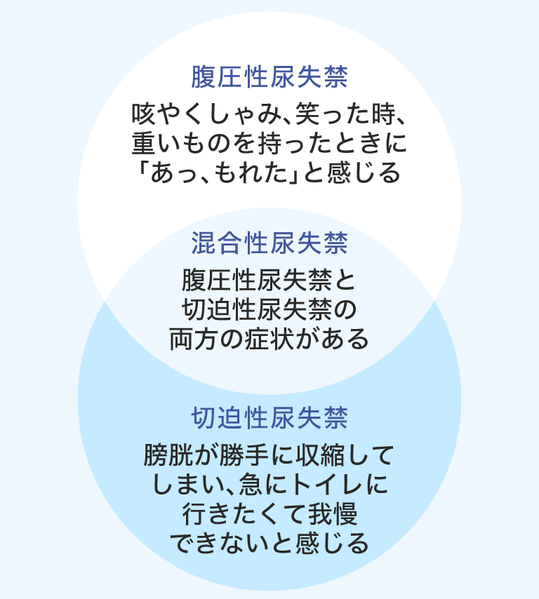腹圧性尿失禁 咳やくしゃみ、笑った時、重いものを持ったときに「あっ、もれた」と感じる 混合性尿失禁 腹圧性尿失禁と切迫性尿失禁の両方の症状がある 切迫性尿失禁 膀胱が勝手に収縮してしまい、急にトイレに行きたくて我慢できないと感じる