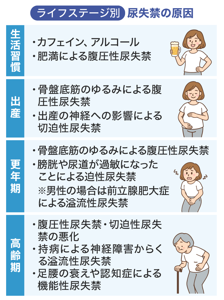 ライフステージ別 尿失禁の原因 尿失禁の根本的な原因 生活習慣 ·カフェイン、アルコール ·肥満による腹圧性尿失禁 出産 ·骨盤底筋のゆるみによる腹圧性尿失禁 ·出産の神経への影響による切迫性尿失禁 更年期 ·骨盤底筋のゆるみによる腹圧性尿失禁 ·膀胱や尿道が過敏になったことによる迫性尿失禁※男性の場合は前立腺肥大症による溢流性尿失禁 高齢期 ·腹圧性尿失禁·切迫性尿失禁の悪化 ·持病による神経障害からくる溢流性尿失禁 ·足腰の衰えや認知症による機能性尿失禁