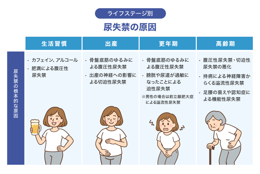 ライフステージ別 尿失禁の原因 尿失禁の根本的な原因 生活習慣 ·カフェイン、アルコール ·肥満による腹圧性尿失禁 出産 ·骨盤底筋のゆるみによる腹圧性尿失禁 ·出産の神経への影響による切迫性尿失禁 更年期 ·骨盤底筋のゆるみによる腹圧性尿失禁 ·膀胱や尿道が過敏になったことによる迫性尿失禁※男性の場合は前立腺肥大症による溢流性尿失禁 高齢期 ·腹圧性尿失禁·切迫性尿失禁の悪化 ·持病による神経障害からくる溢流性尿失禁 ·足腰の衰えや認知症による機能性尿失禁