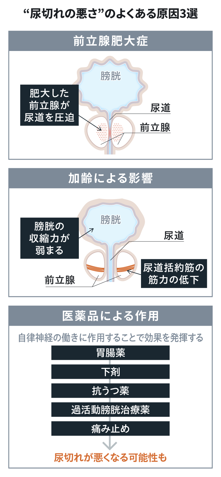 &ldquo;尿切れの悪さ&rdquo;のよくある原因3選　前立腺肥大症 肥大した前立腺が尿道を圧迫　加齢による影響 膀胱の収縮力が弱まる 尿道括約筋の筋力の低下　医薬品による作用 自律神経の働きに作用することで効果を発揮する 胃腸薬&rarr;下剤&rarr;抗うつ薬&rarr;過活動膀胱治療薬&rarr;痛み止め&rarr;尿切れが悪くなる可能性も